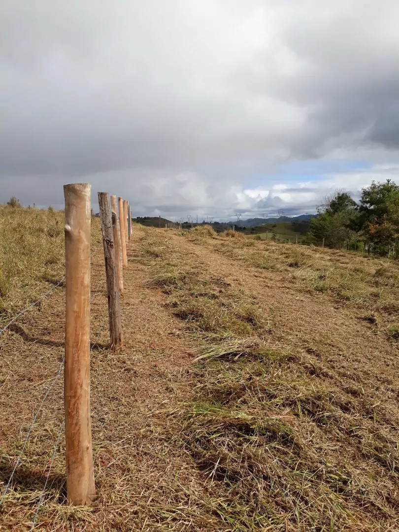 Comprar - Terreno